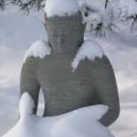 images-2