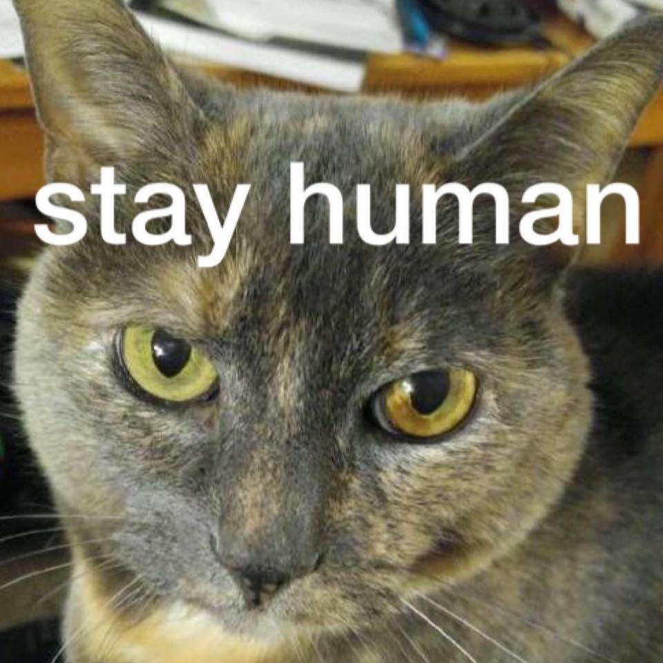 Remembering 2 Stay Human Through the 6 Realms