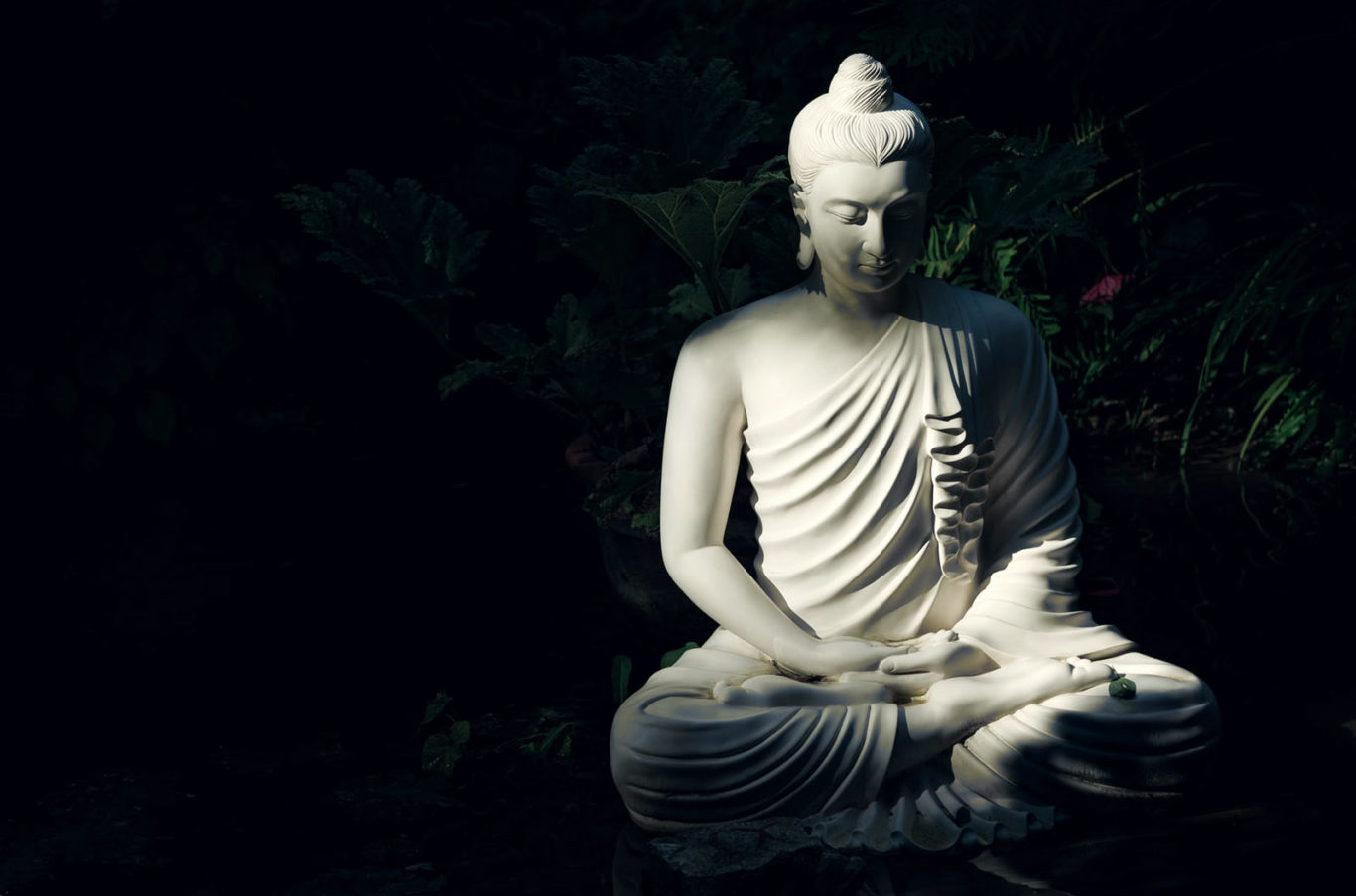 The Discipline of Mind Training